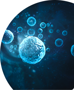 EBO2: EXTRACORPOREAL BLOOD OXYGENATION AND OZONE