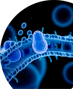 DAVID DELIGHT AUDIO VISUAL BRAIN ENTRAINMENT