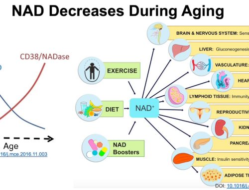 Should you take NAD Boosters?